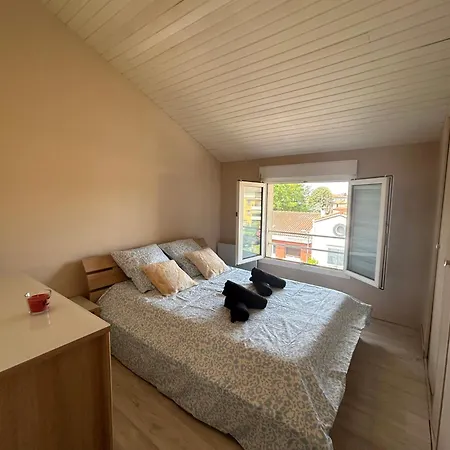 Appartement Le Venasque Avec Terrasse - Climatisation Toulouse